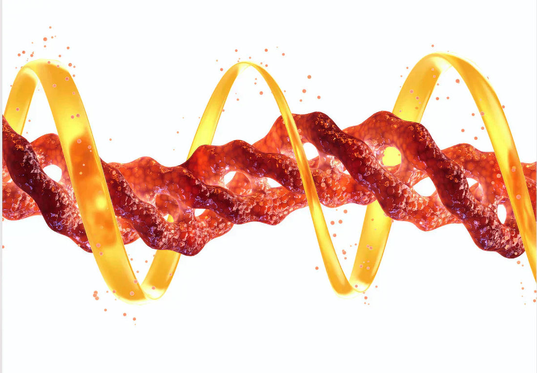 Toque de farmacéutica. ¿Cómo funcionan los suplementos con colágeno? - Maria del Mar Sierra @mrealskin
